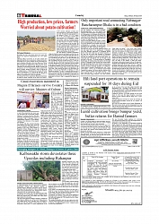 Daily Tribunal E-paper 17-03-2026_page-0006