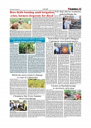 Daily Tribunal E-paper 29-03-2026_page-0007