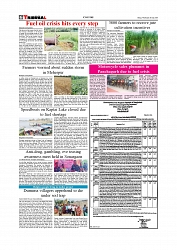 Daily Tribunal E-paper 01-04-2026._page-0006