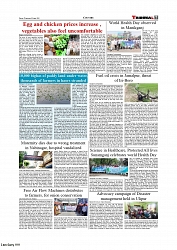 Daily Tribunal E-paper 08-04-2026._page-0007