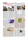 Daily Tribunal E-paper 01-11-2025_page-0008