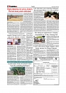 Daily Tribunal E-paper 17-03-2026_page-0006