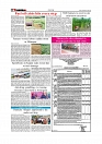 Daily Tribunal E-paper 01-04-2026._page-0006