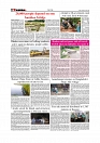 Daily Tribunal E-paper 04-07-2026._page-0006