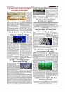 Daily Tribunal E-paper 11-07-2026._page-0005