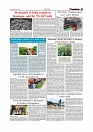 Daily Tribunal E-paper 11-08-2026_page-0007